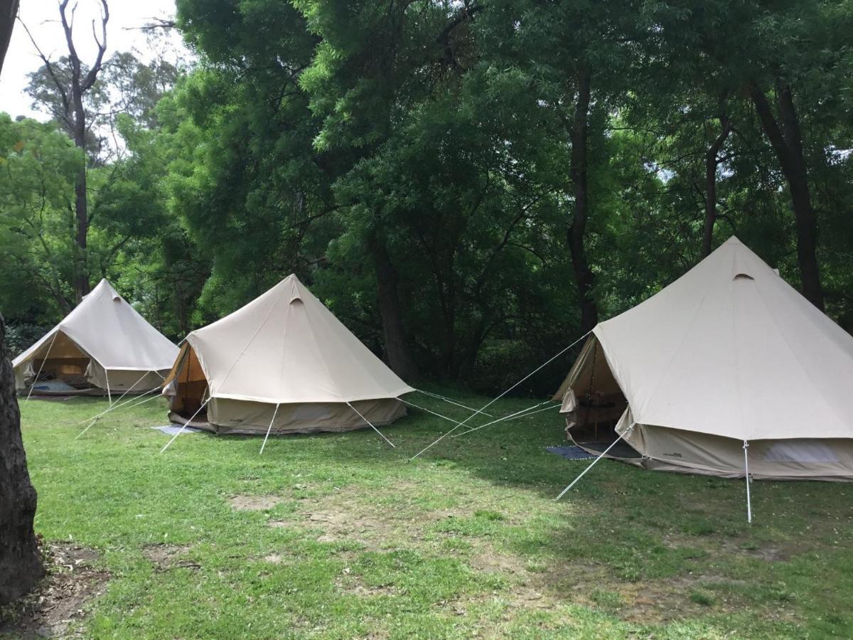 Belair National Park Holiday Park Экстерьер фото