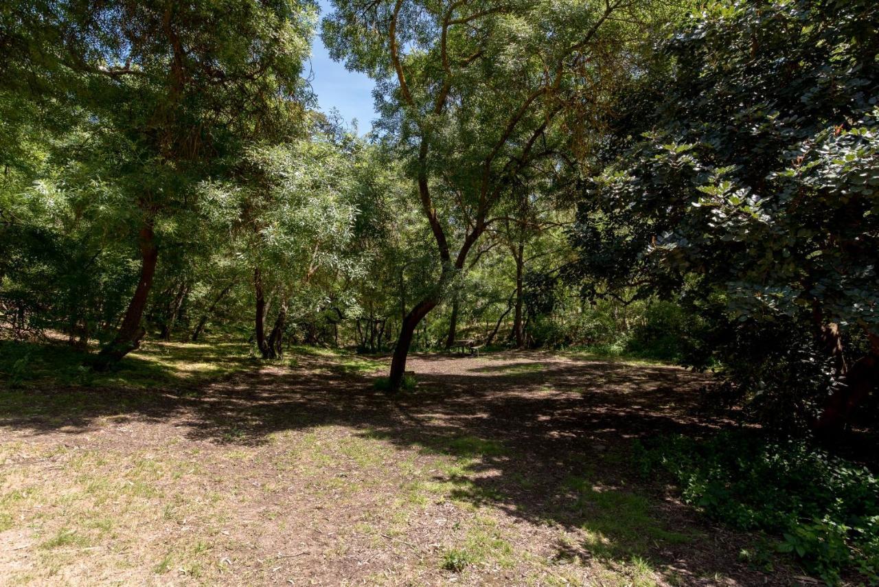 Belair National Park Holiday Park Экстерьер фото